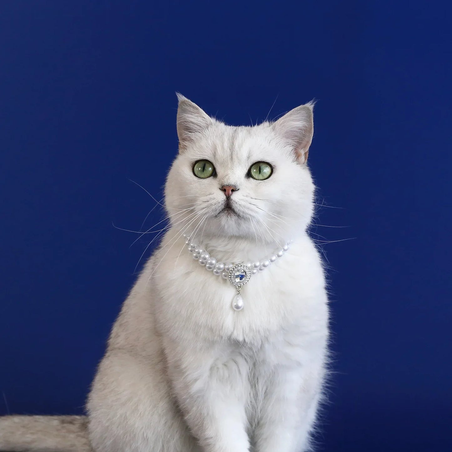 Adjustable Dog Cat Pearl Necklace Collar