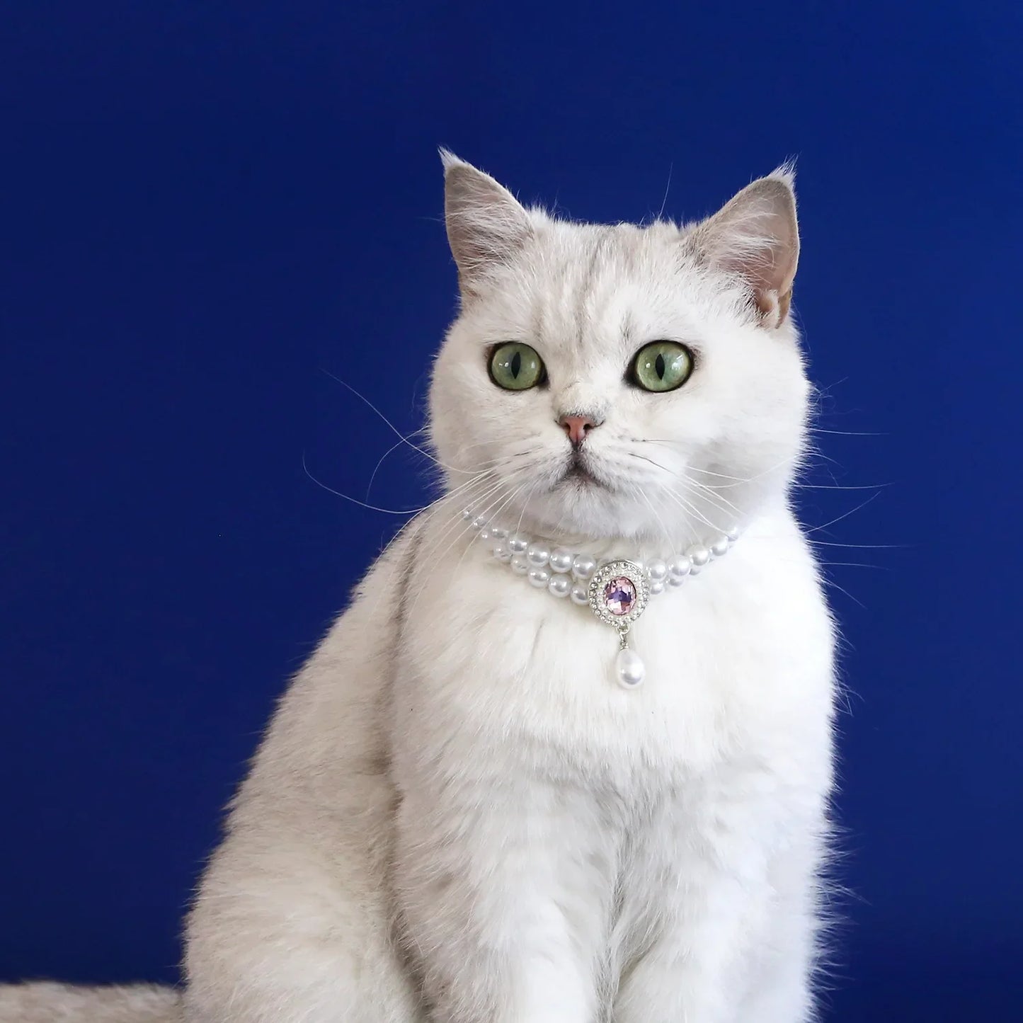 Adjustable Dog Cat Pearl Necklace Collar