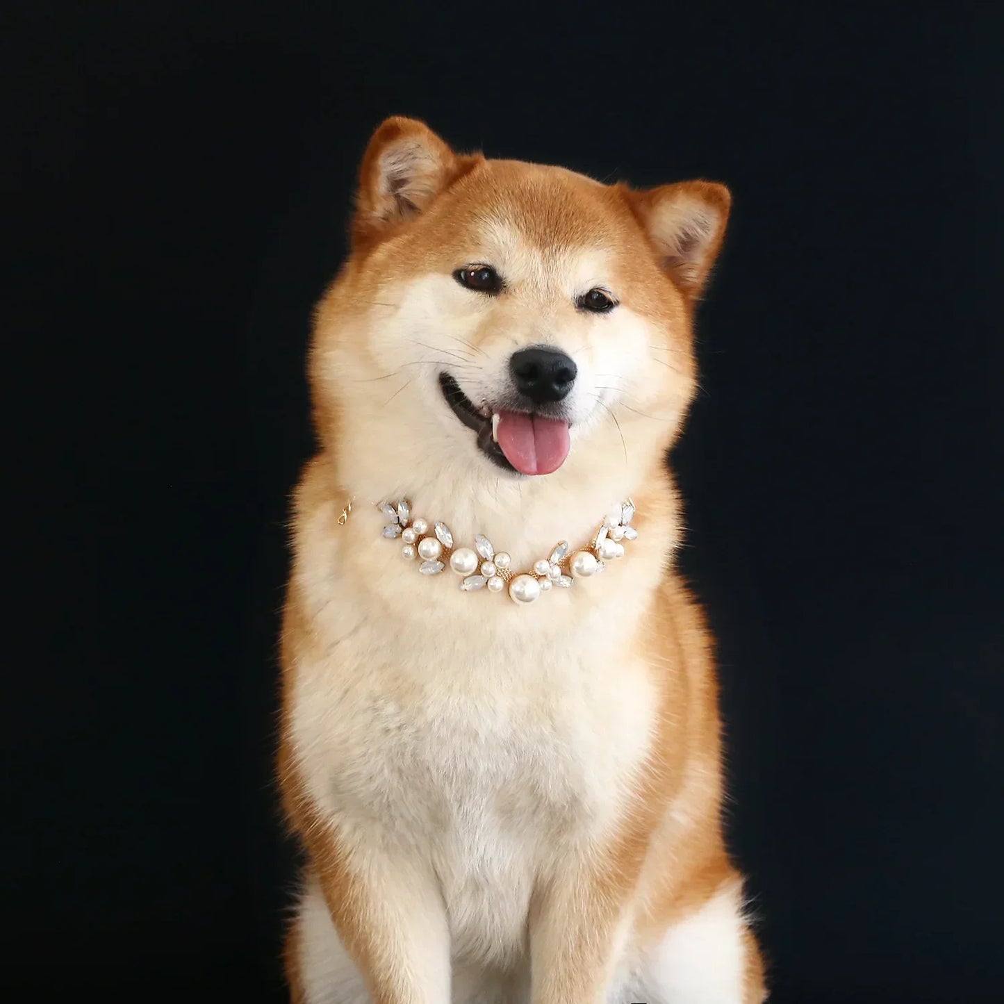 Luxury Pearl Dog Collar