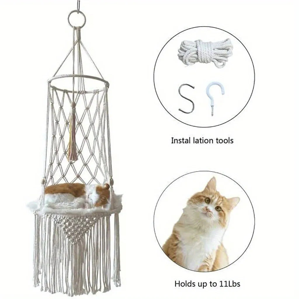 Beds Cats Hammock