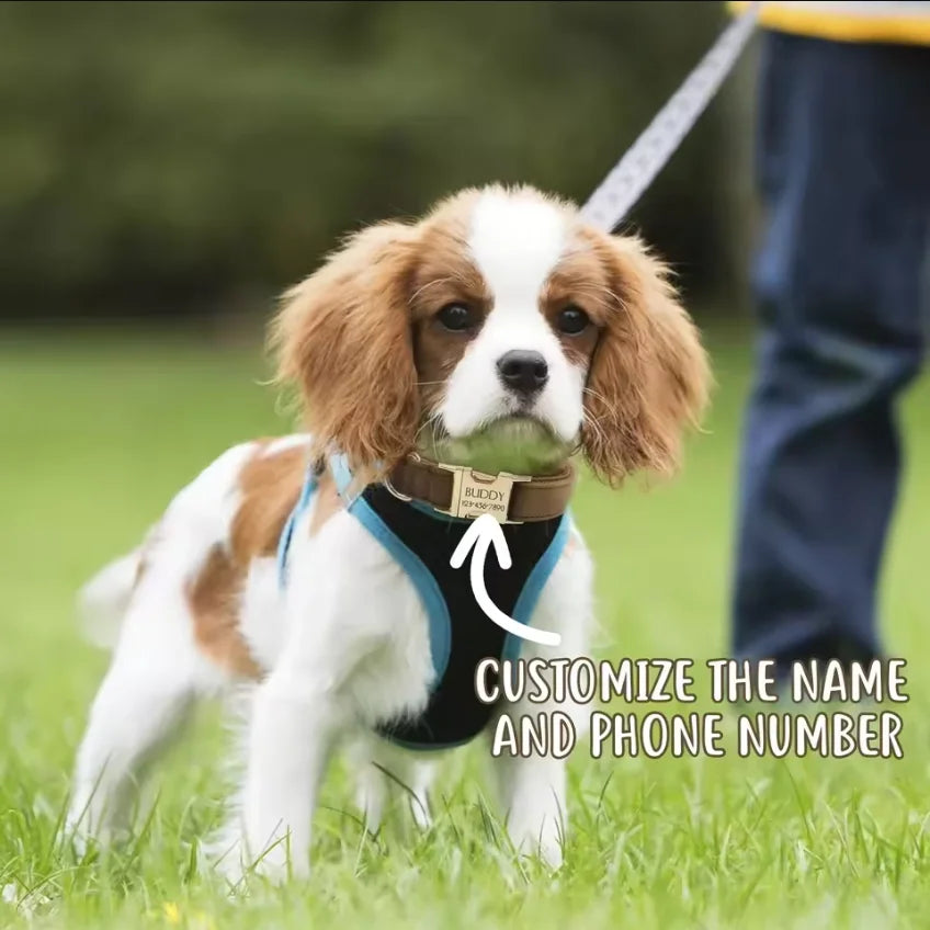 Personalized Velvet Collar