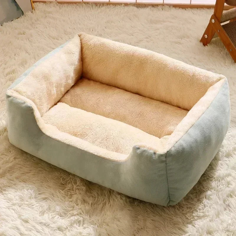 Bed for Cats Pet Products Cushions Kitten*Goods Accessories Dog All Houses Supplies Things Accessory Habitats Basket House Beds
