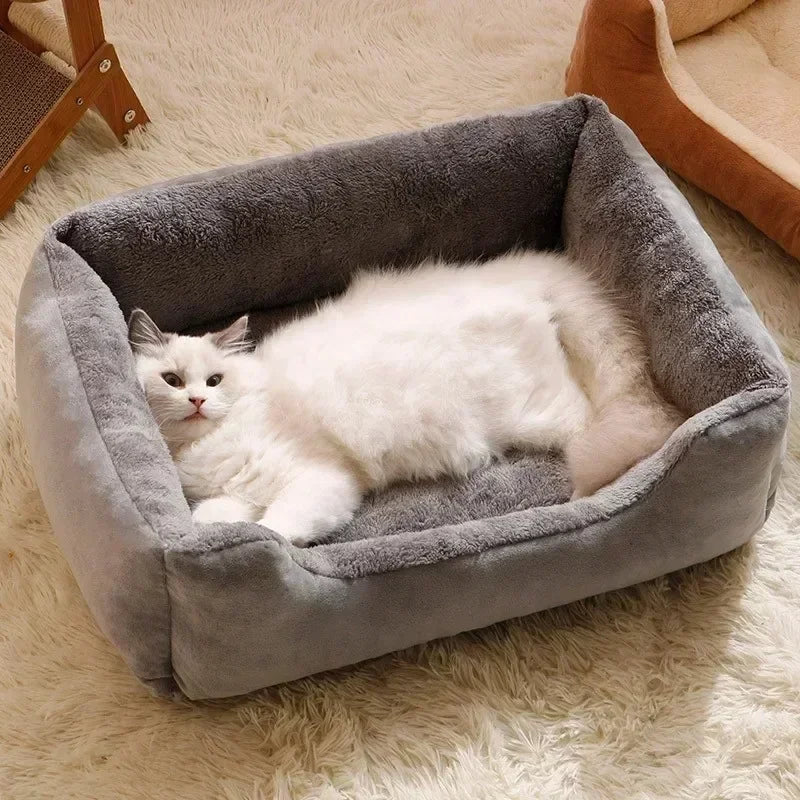 Bed for Cats Pet Products Cushions Kitten*Goods Accessories Dog All Houses Supplies Things Accessory Habitats Basket House Beds