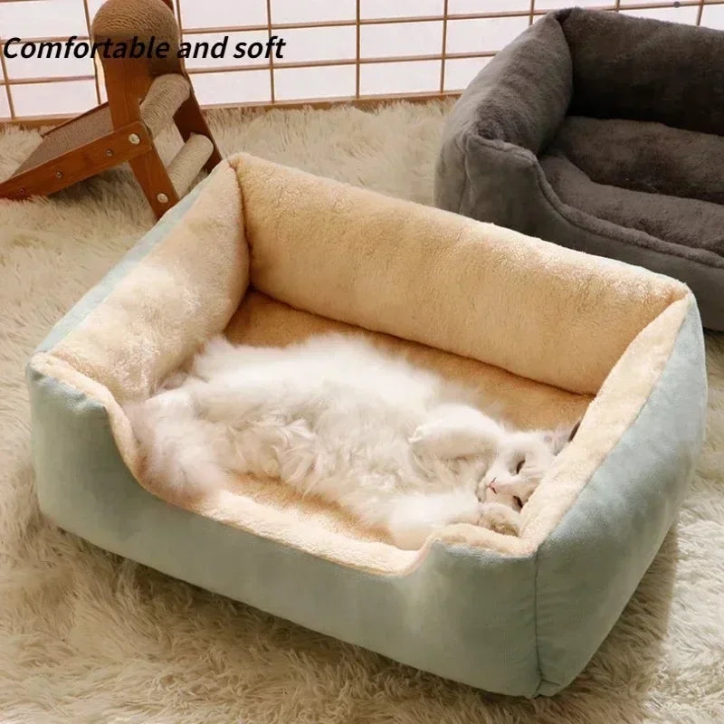 Bed for Cats Pet Products Cushions Kitten*Goods Accessories Dog All Houses Supplies Things Accessory Habitats Basket House Beds