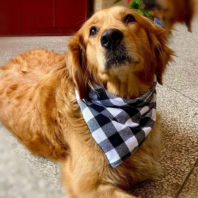 Dog Bandanas